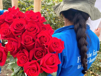 Mayoristas de flores en Barcelona Archila Flowers